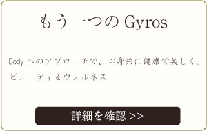 もう一つのGyros